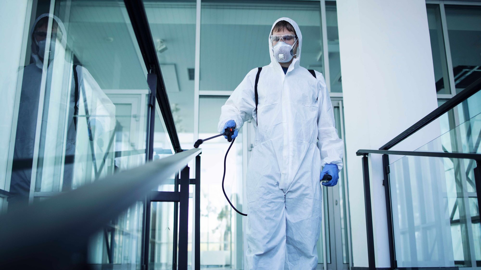 professionnel de la deratisation